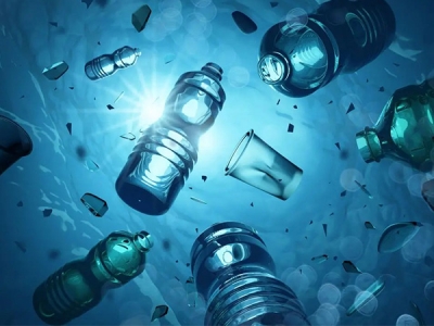 小小的煙頭，對(duì)海洋的危害如此嚴(yán)重??！