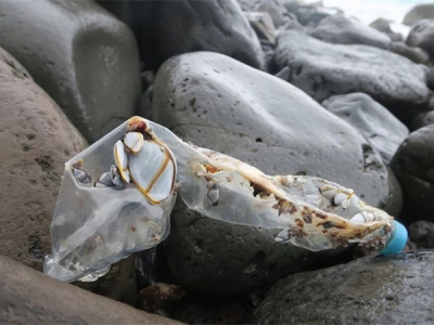 證明“海洋塑料”，需要遵循哪些標(biāo)準(zhǔn)？