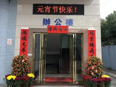 正月十五鬧元宵，新春寅虎來(lái)納福